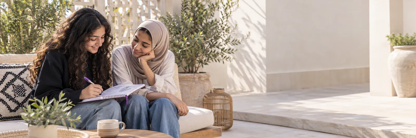 الصداقة